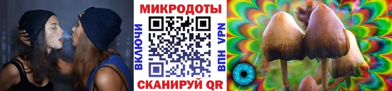 Галлюциногенные грибы ЛСД  купить наркоту  blacksprut сайт  Волосово 